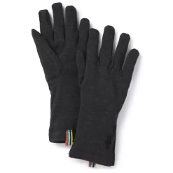 Smartwool Merino 250 Adult Glove